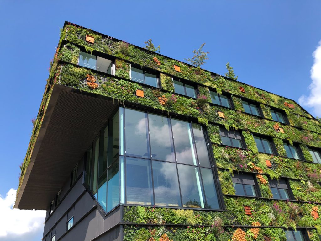 How to LEED Certify a Miami Building Project
