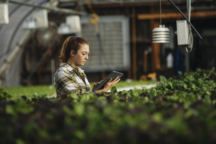 Building Automation Services - Smarter Control, Greater Efficiency